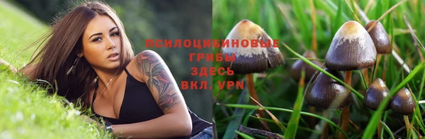 кристаллы Дмитриев