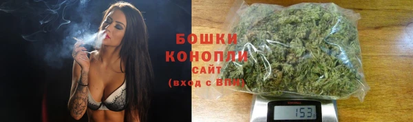 дурь Дмитровск