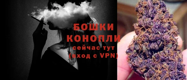 дурь Дмитровск