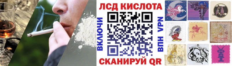 хочу наркоту  Новосокольники  Марки 25I-NBOMe 1,8мг 